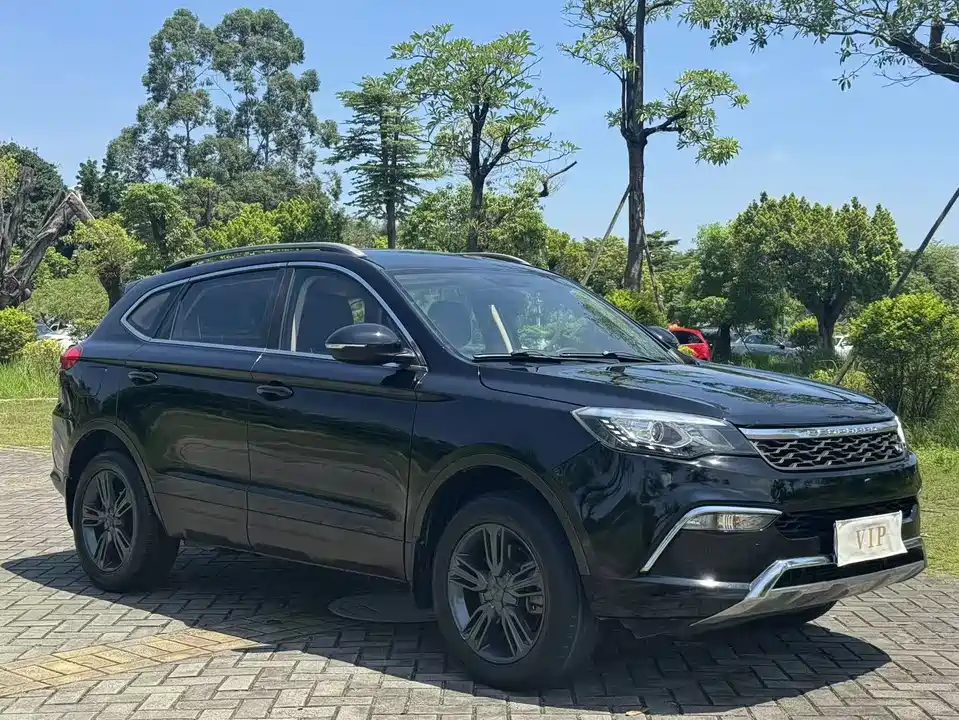 Leopaard Cheetah CS10