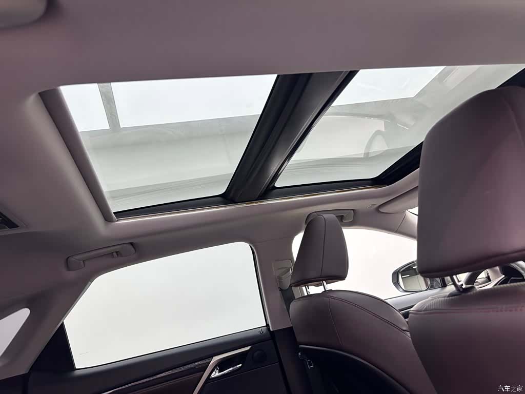 Lexus RX, 2022 24