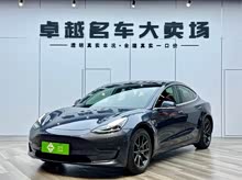 Model 3(����) 2019�� ������������