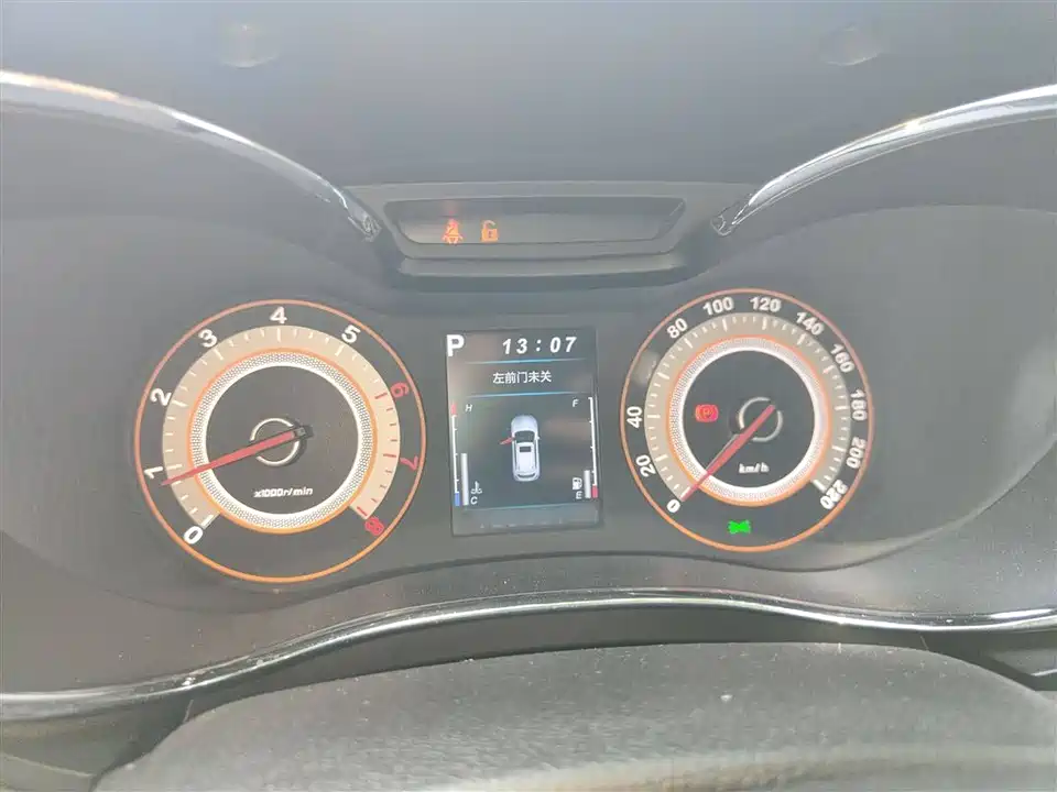 Leopaard Cheetah CS9