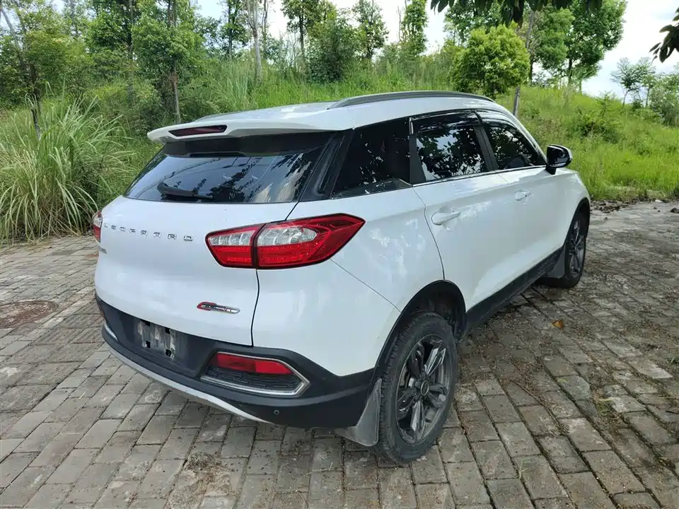 Leopaard Cheetah CS9