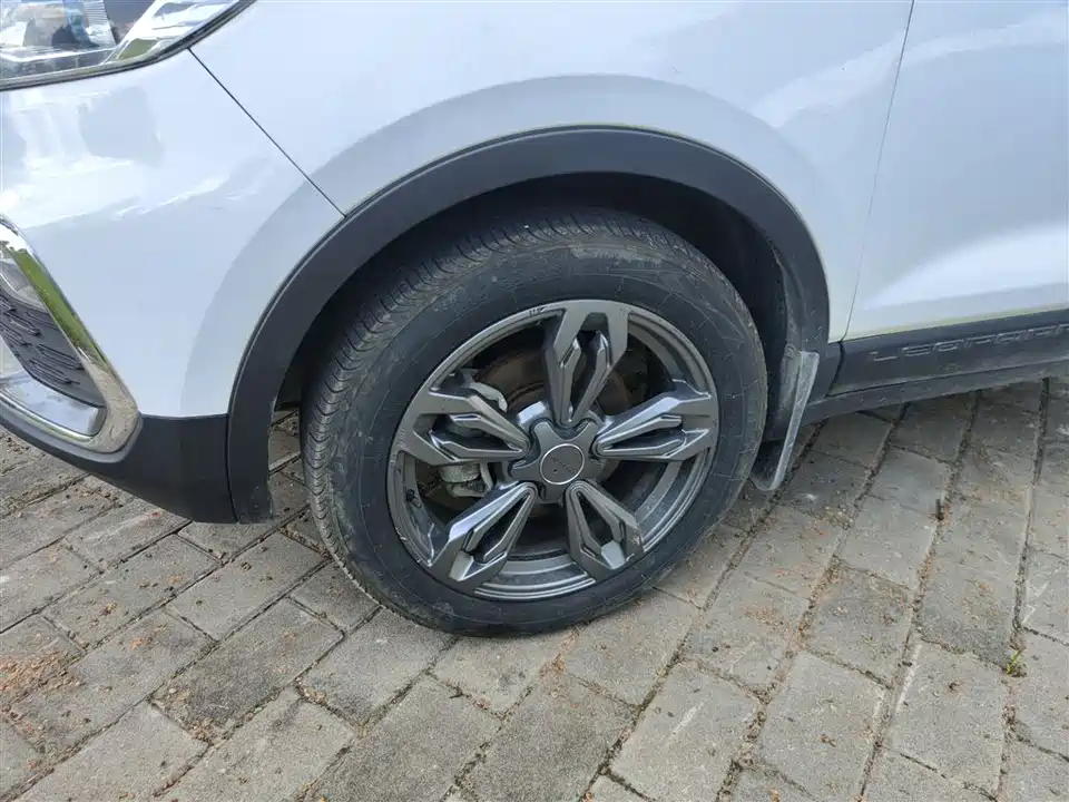 Leopaard Cheetah CS9