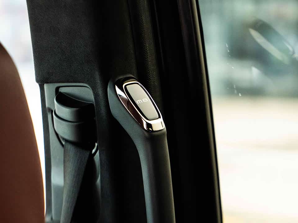 Trumpchi Trumpchi M8