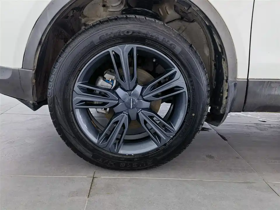 Leopaard Cheetah CS10