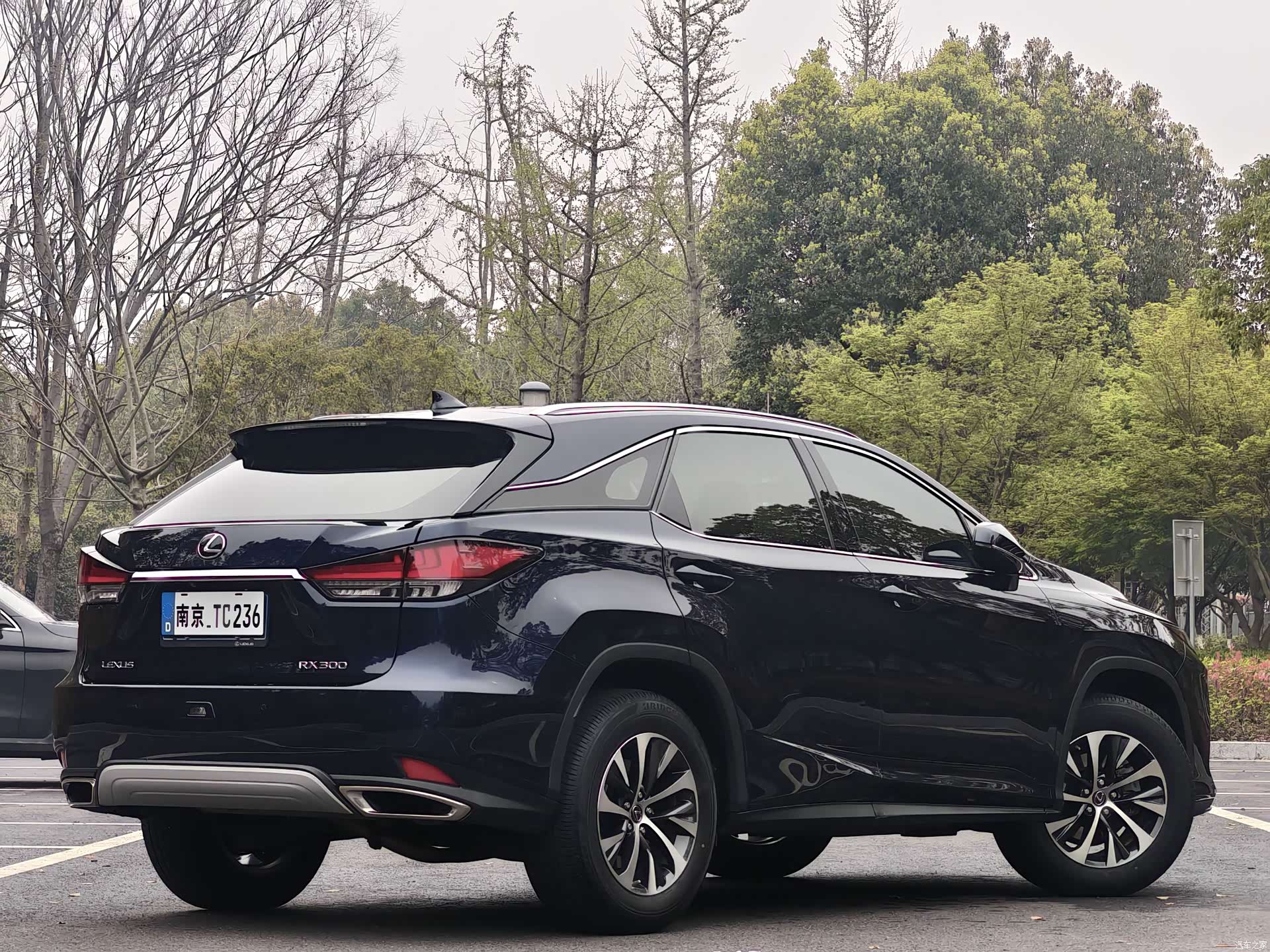 Lexus RX, 2022 все фото