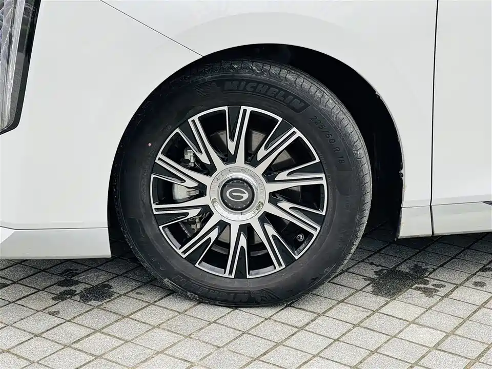 Trumpchi Trumpchi E9