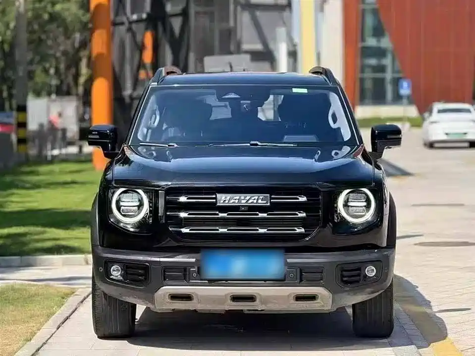 Haval Big dog