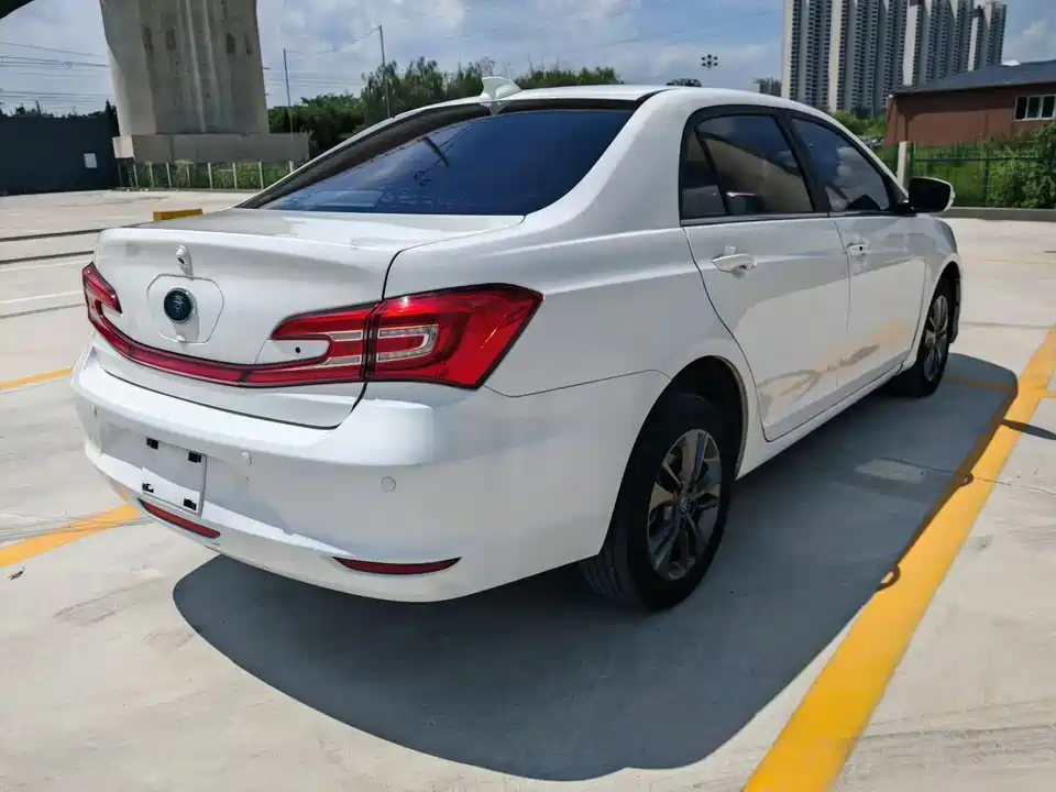 BYD Qinxin Energy