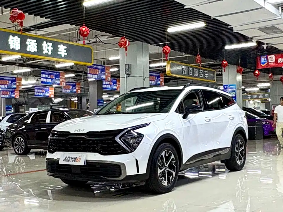 Kia Lion Platinum expands the world