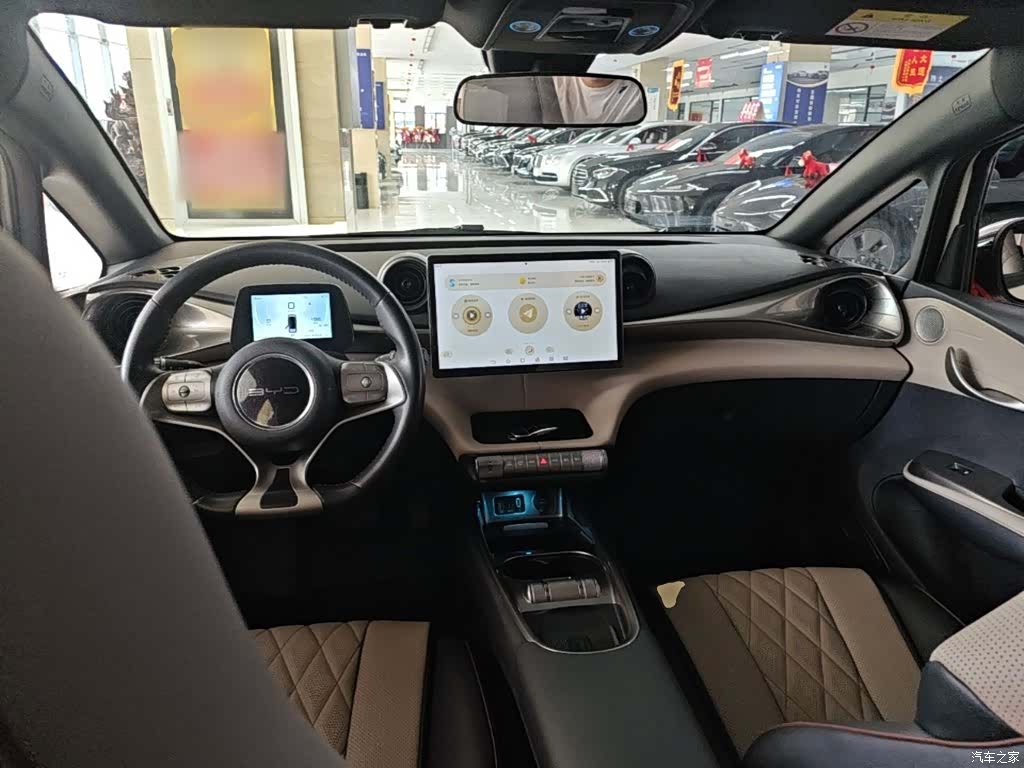 BYD Dolphin, 2023 10