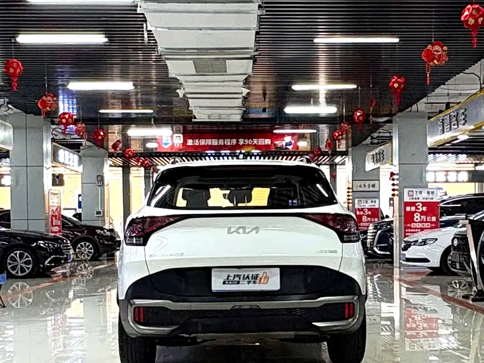 Kia Lion Platinum expands the world