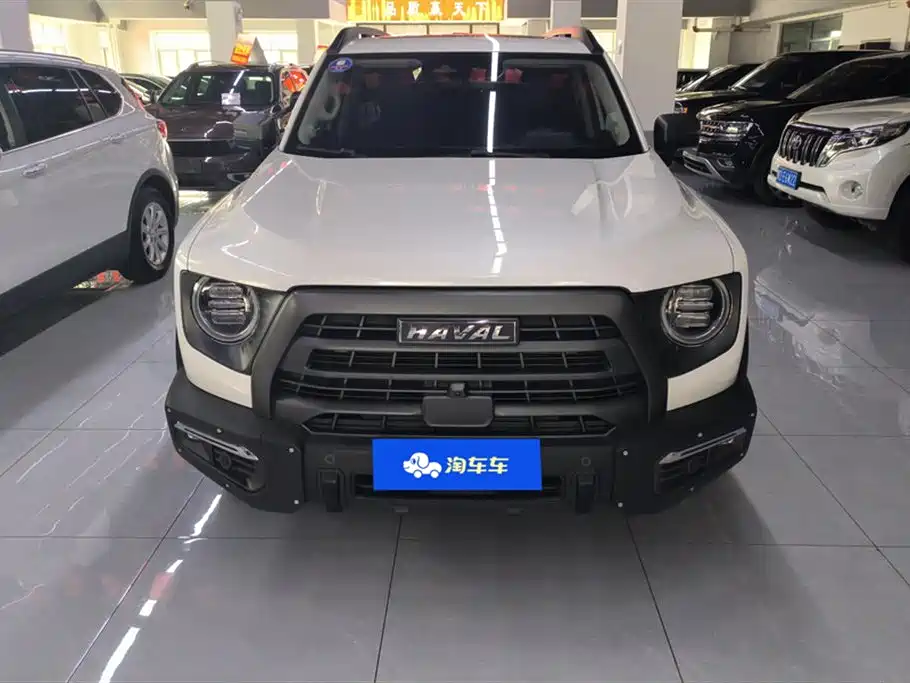 Haval Big dog