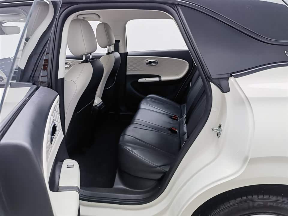 Dongfeng Nammi Nano 01