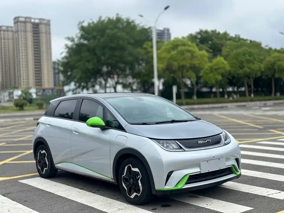 BYD dolphin