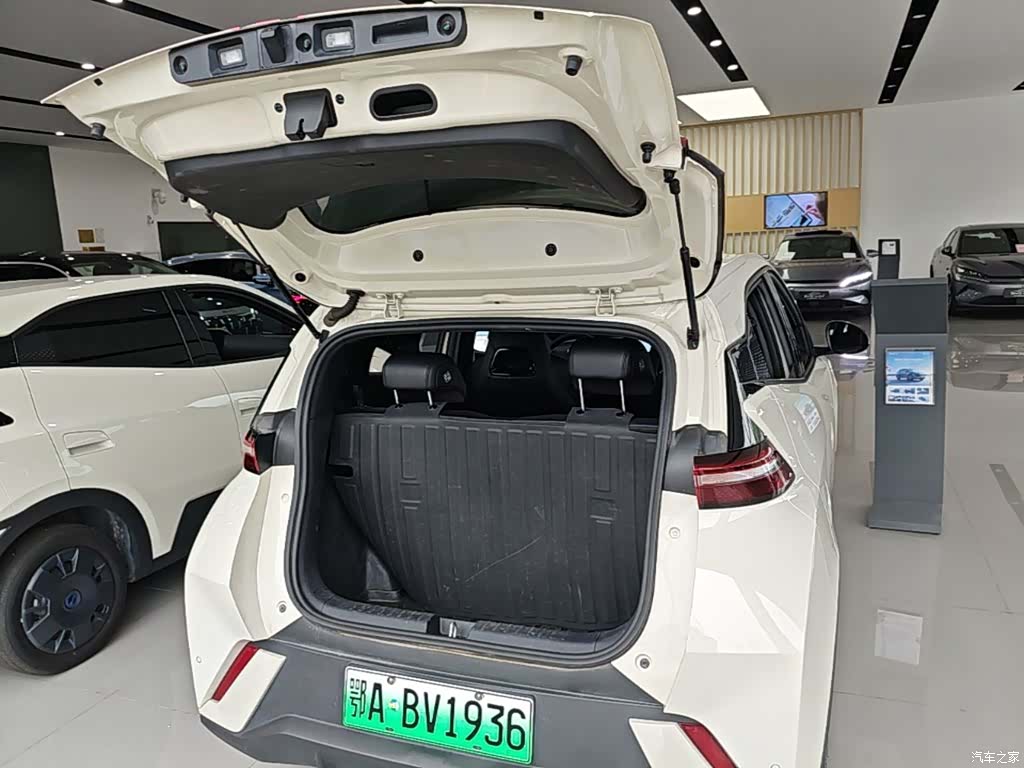 BYD Seagull, 2024 19