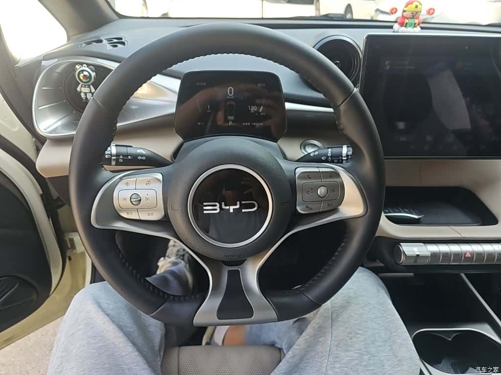 BYD Dolphin, 2025 11