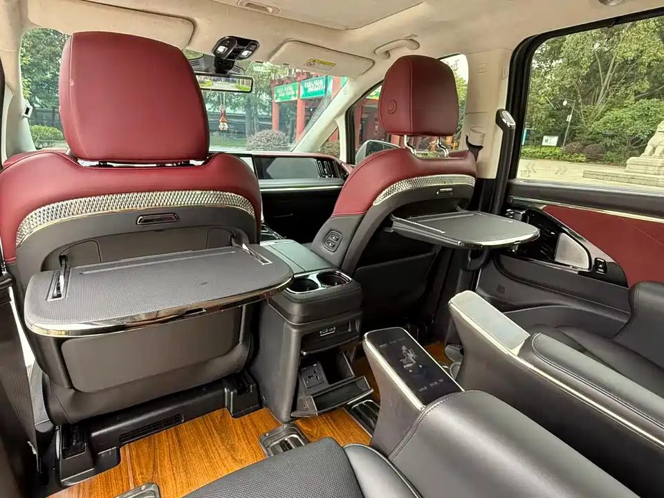 Trumpchi Trumpchi E9