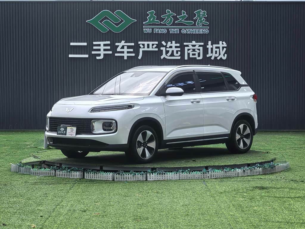 Wuling 2023 2.0L DHT Standard