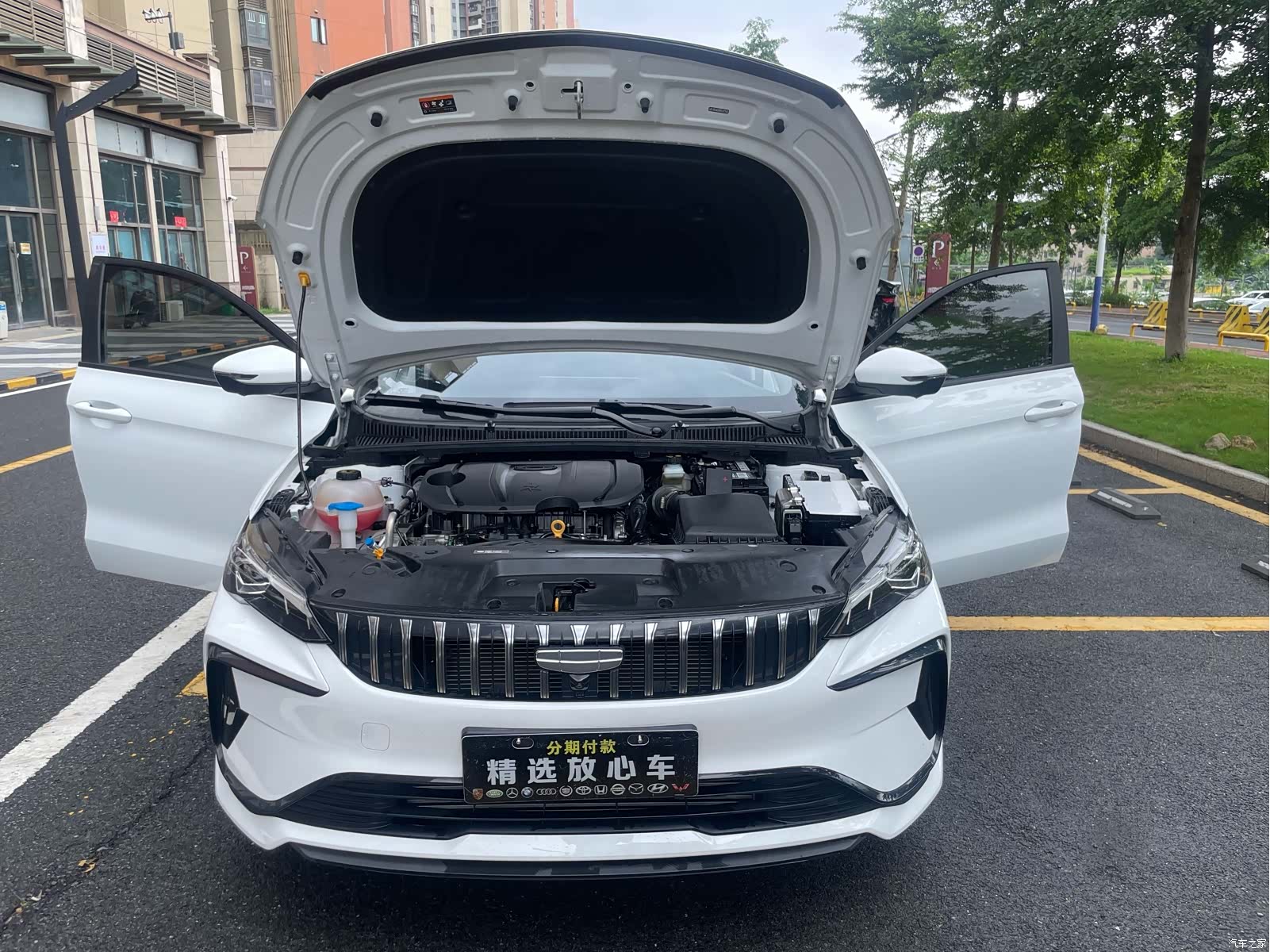 Geely Binray, 2025 18