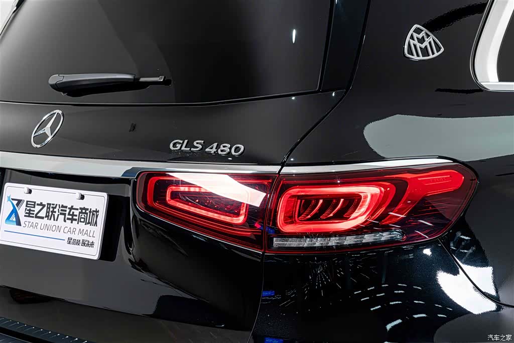 Maybach GLS, 2023 8