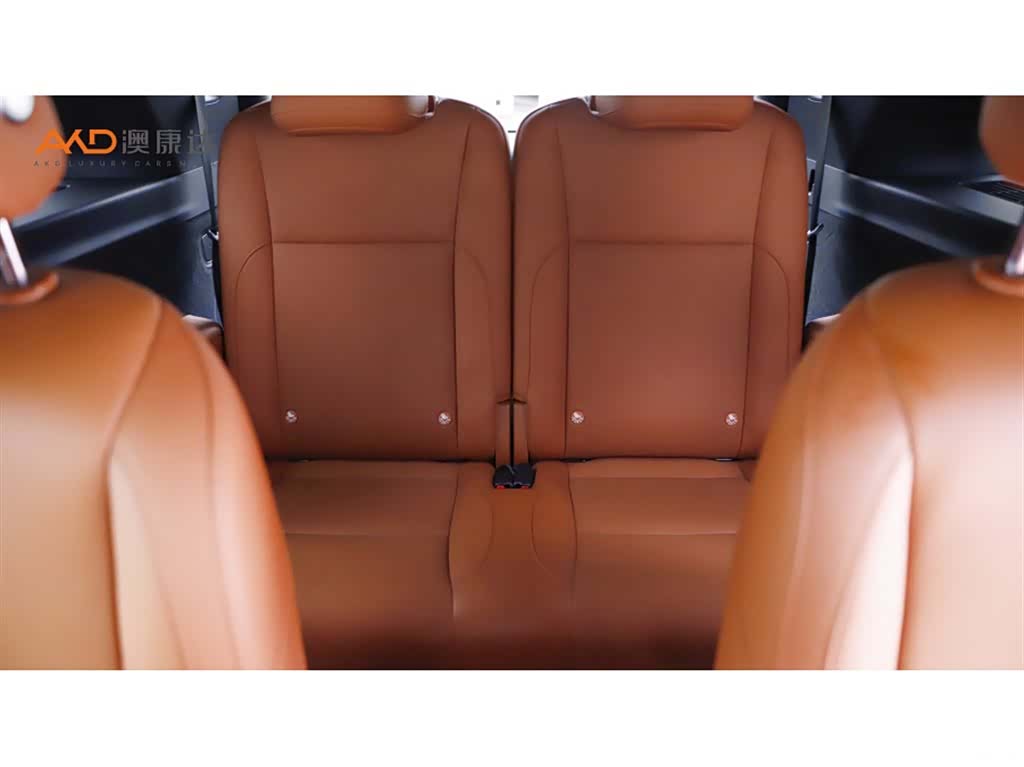 Li Auto L9, 2023 9