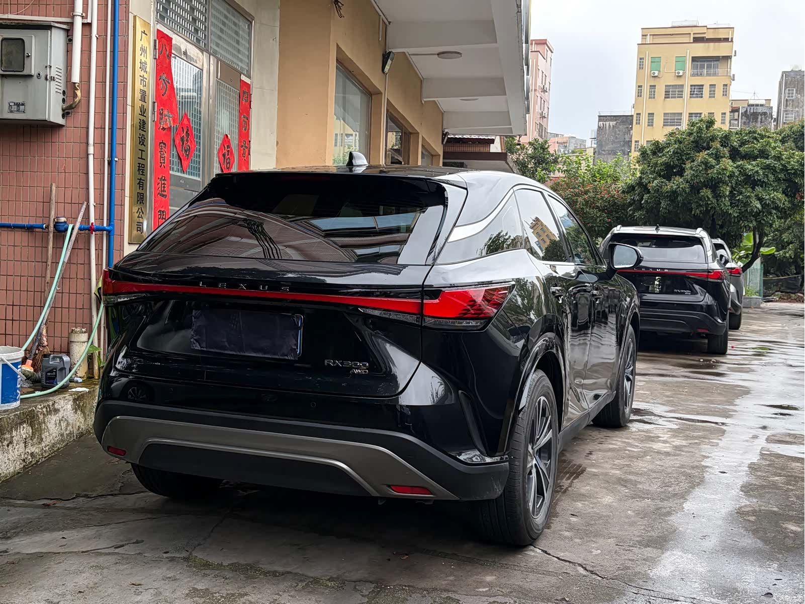 Lexus RX, 2024 10