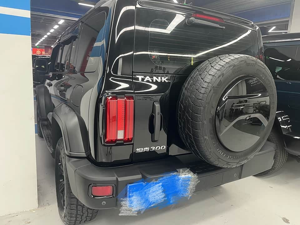 Tank 300