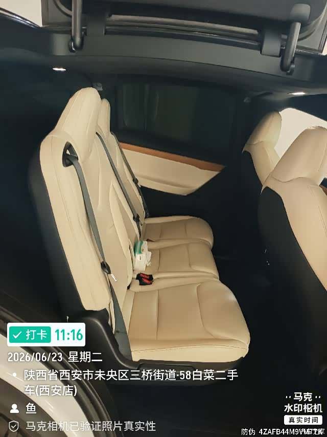 Tesla Model X, 2020 4
