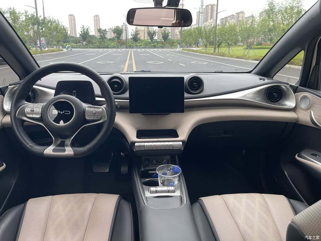 BYD Dolphin, 2025 12