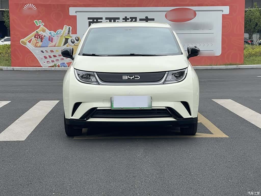 BYD Dolphin, 2025 23