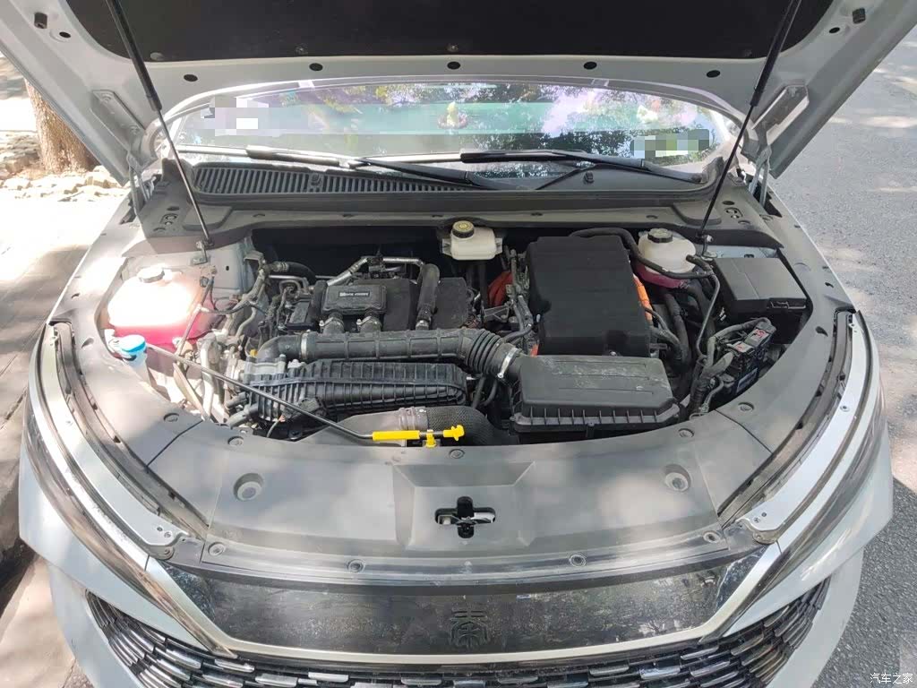 BYD Qin, 2024 17