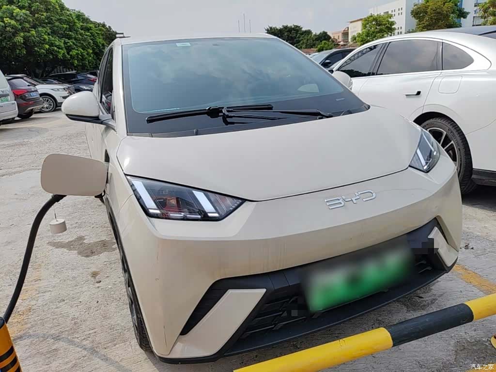 BYD Seagull, 2025 4