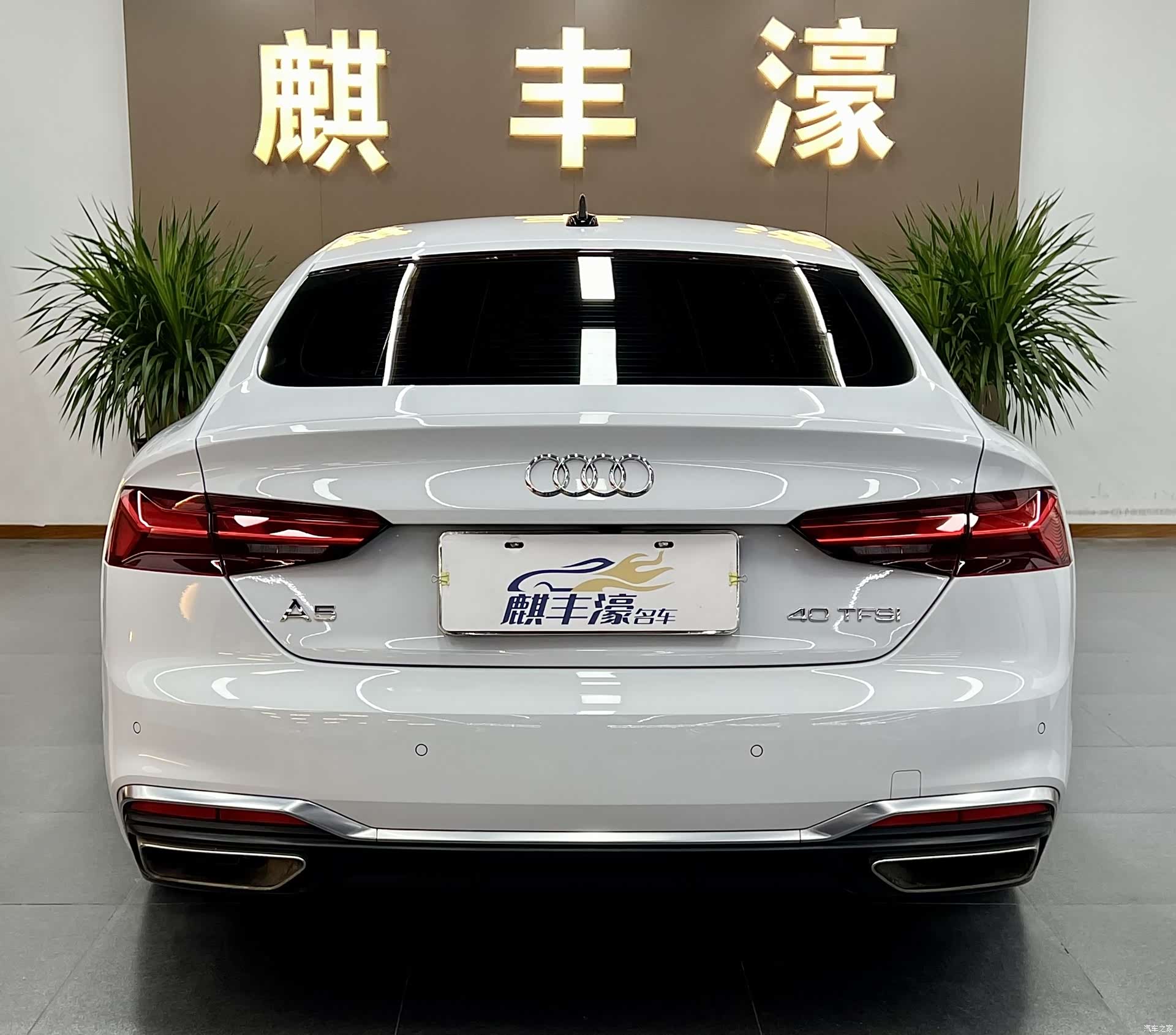 Audi A5, 2024 15