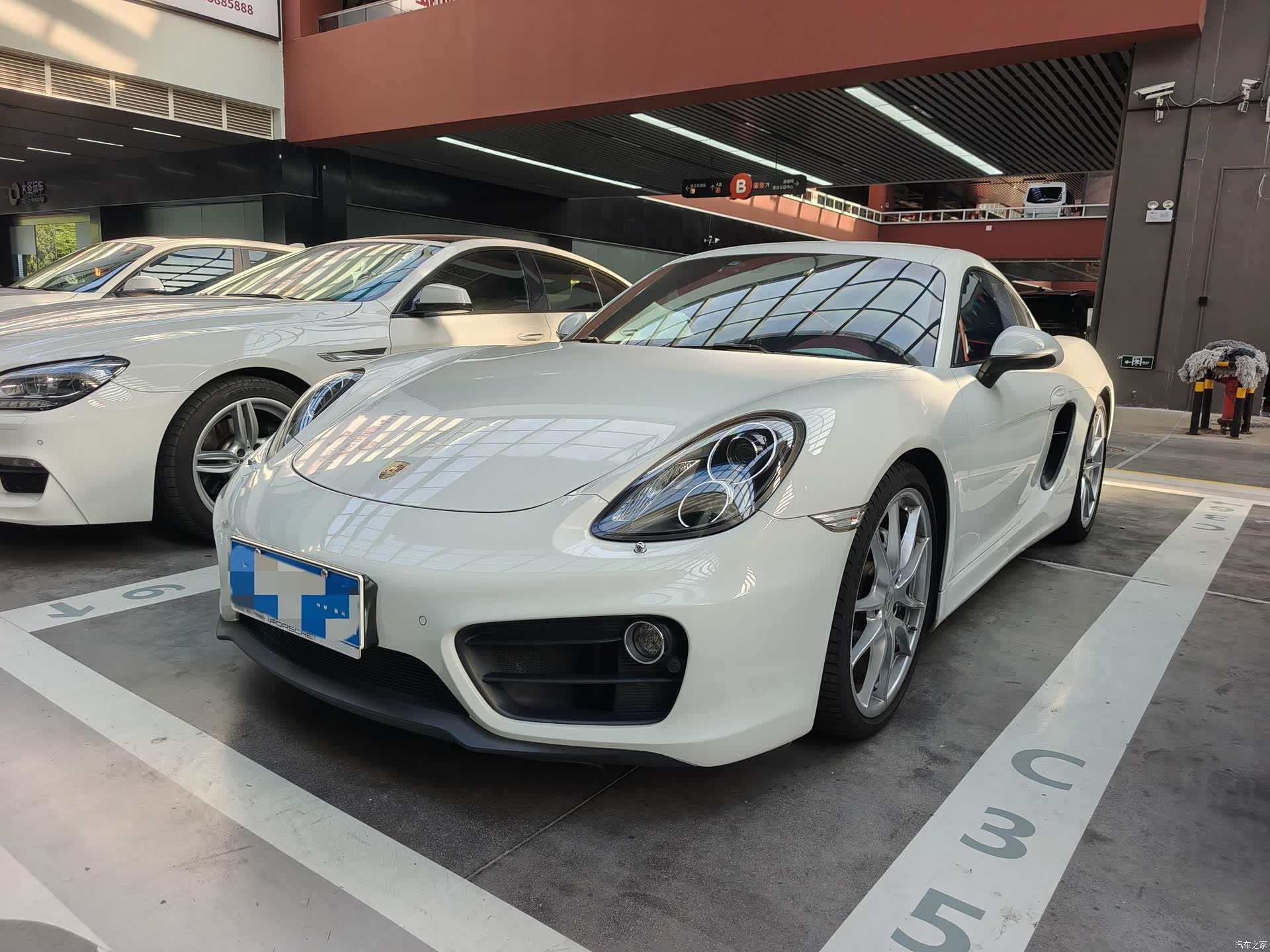 Porsche Cayman