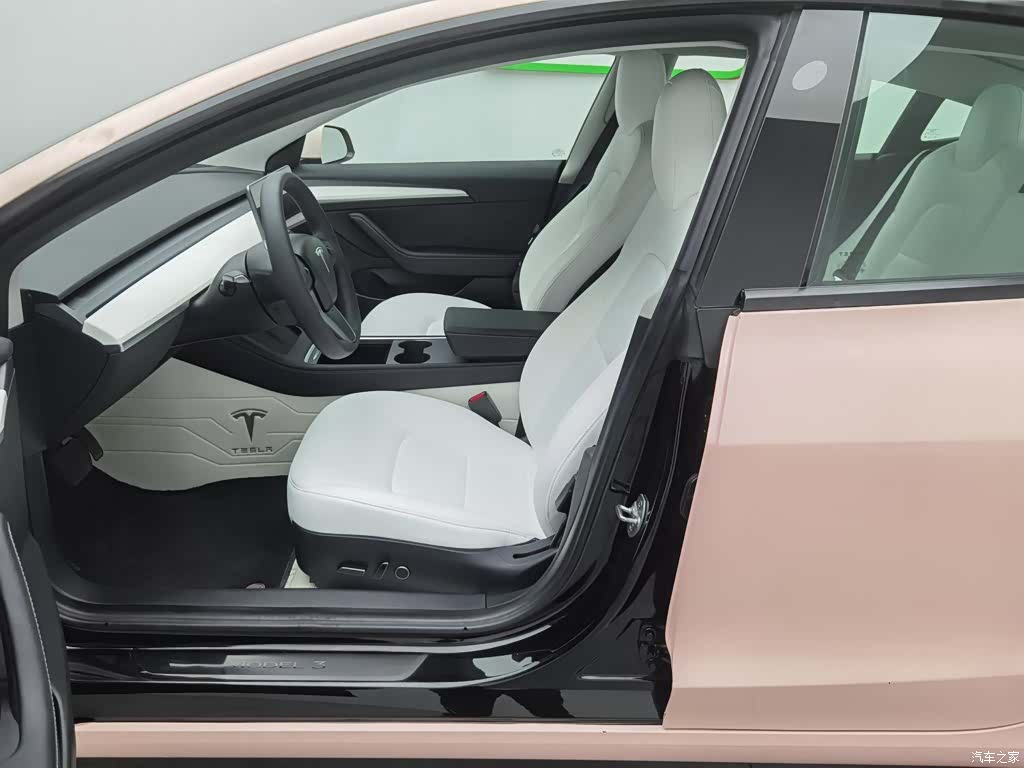 Tesla Model 3, 2023 10
