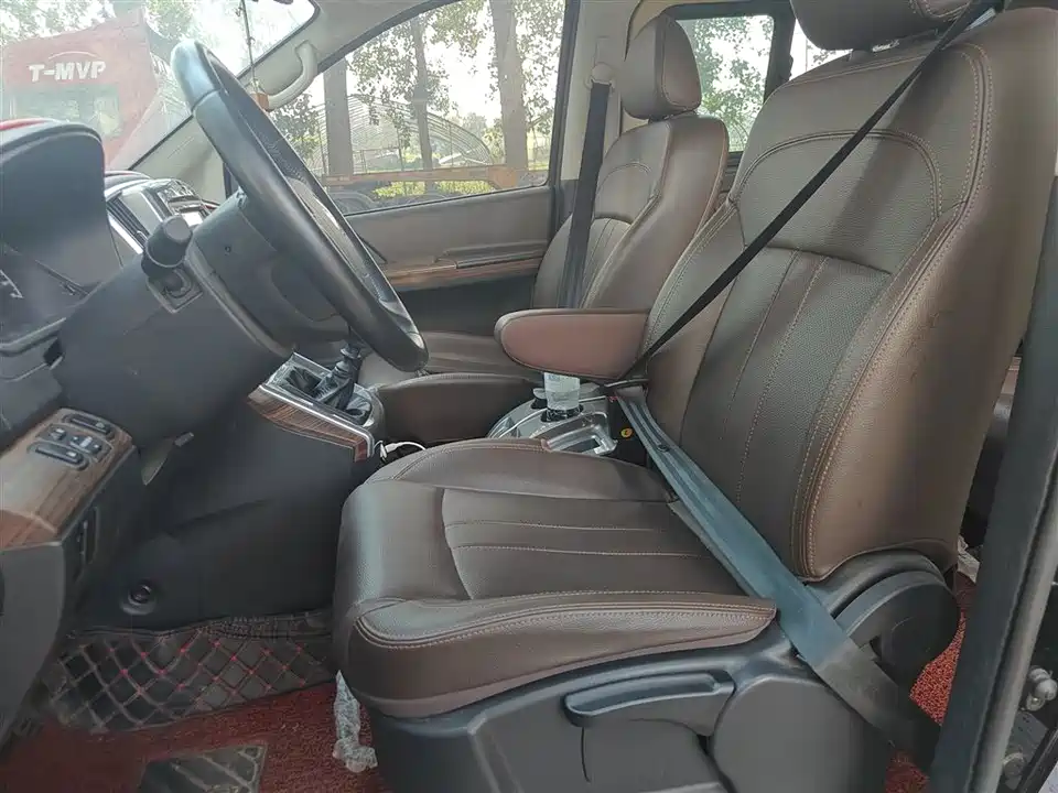 Forthing Lingzhi PLUS