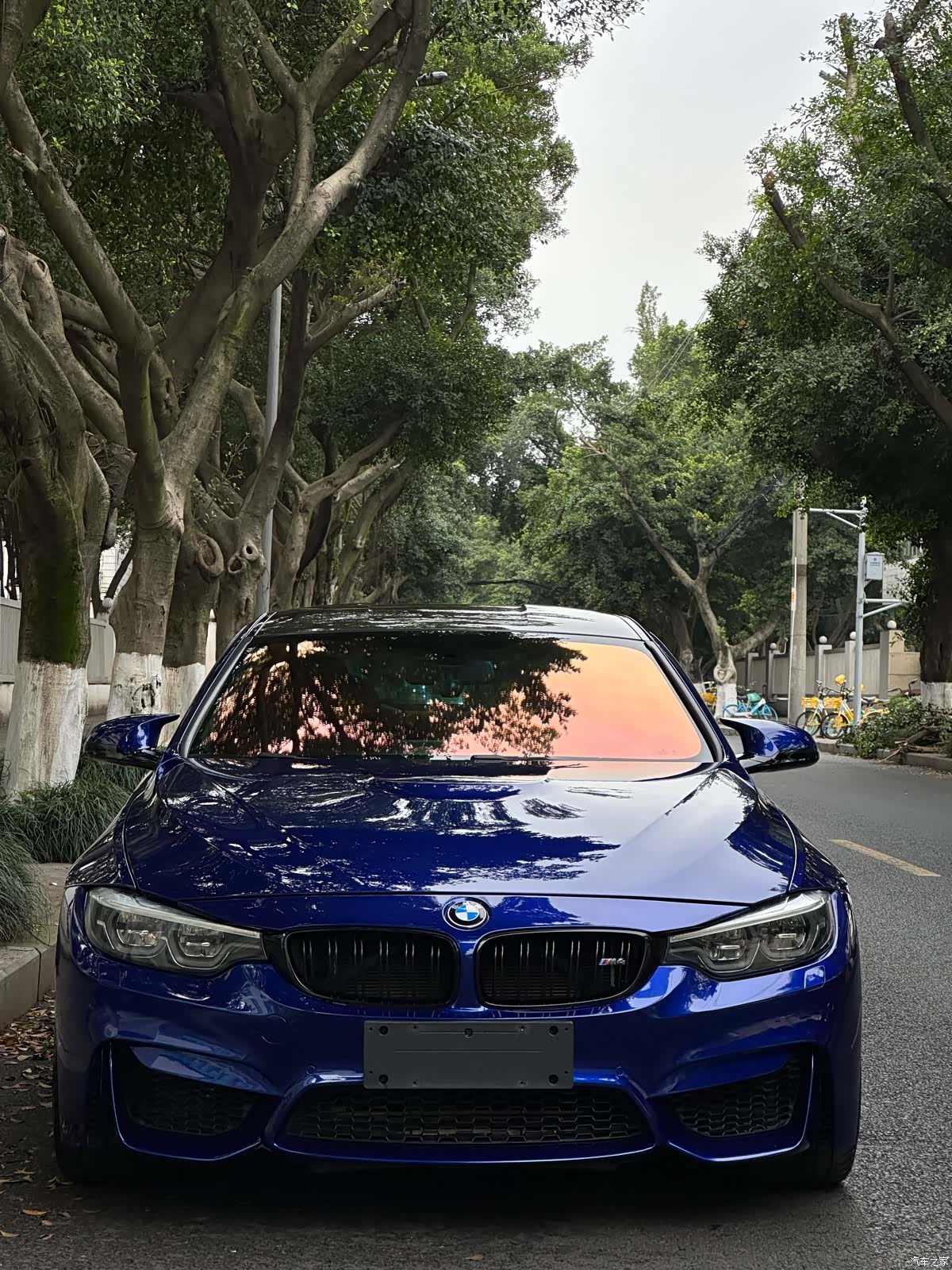 BMW M4, 2019 17