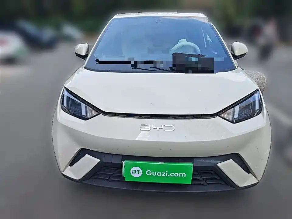 BYD Seagull