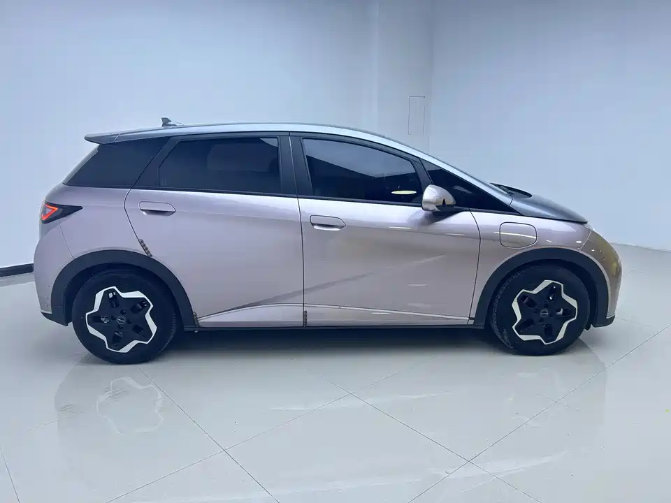 BYD dolphin BYD dolphin