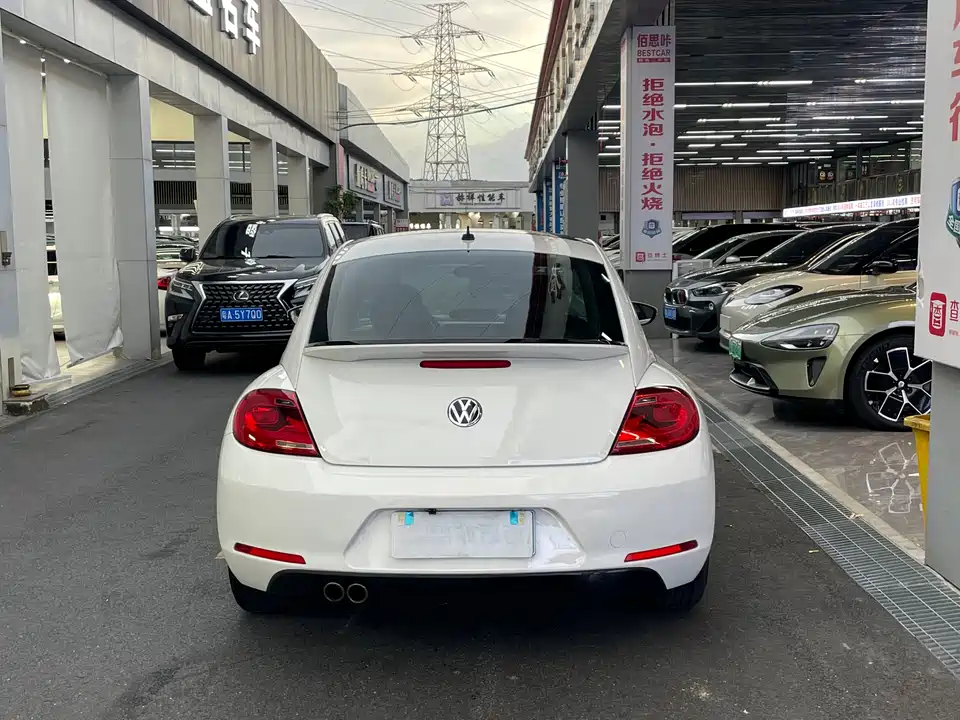 Volkswagen Beetle