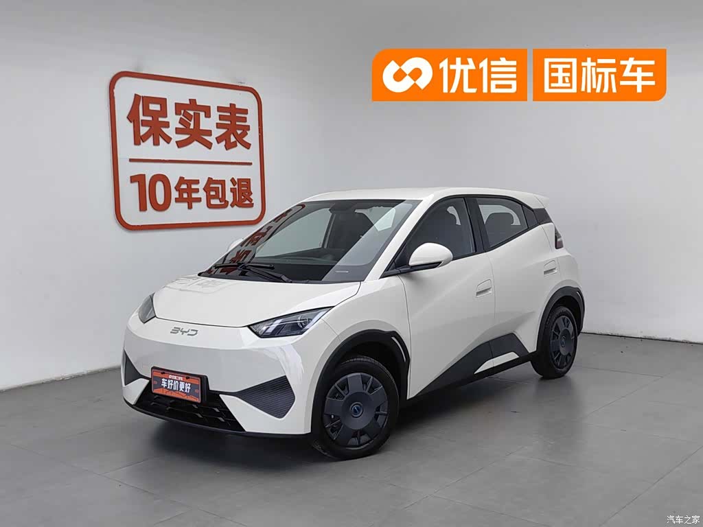 BYD Seagull, 2025 1