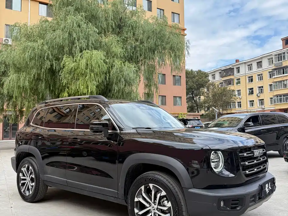 Haval Big dog