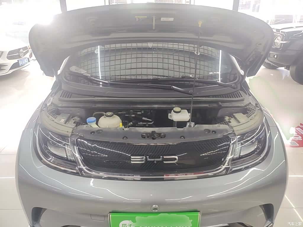 BYD Dolphin, 2024 20