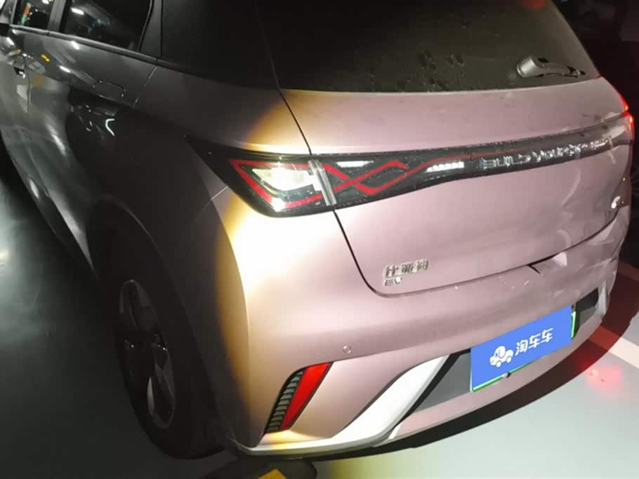 BYD dolphin