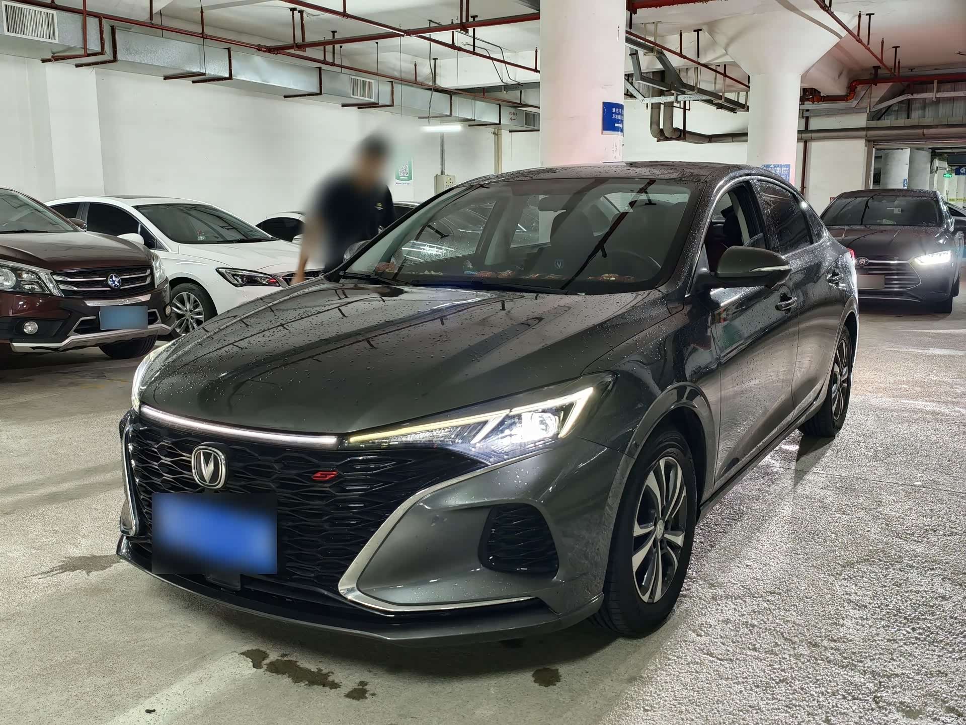 Changan Eado, 2021 1