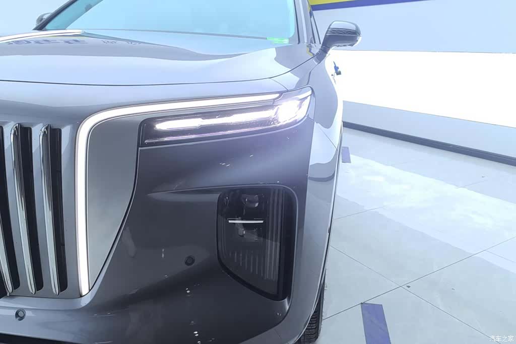 Hongqi E-HS9, 2023 все фото