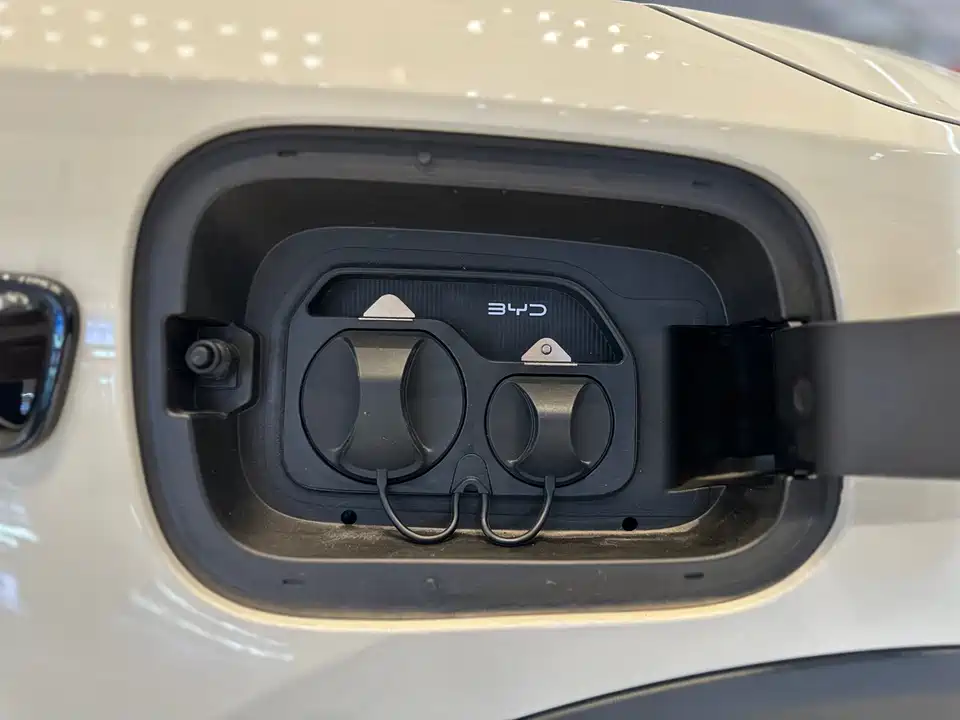 BYD Seagull