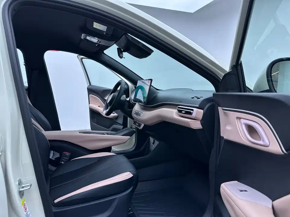 BYD Seagull