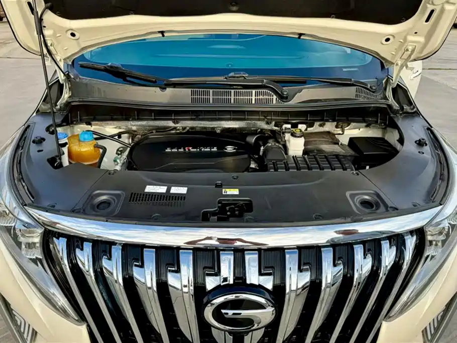 Trumpchi Trumpchi M8