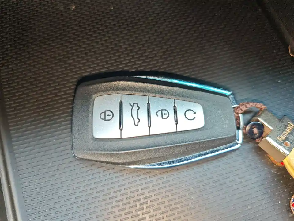 Geely Binrui